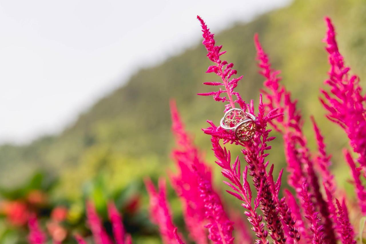 Bliss Bed And Breakfast หยูฉี ภายนอก รูปภาพ